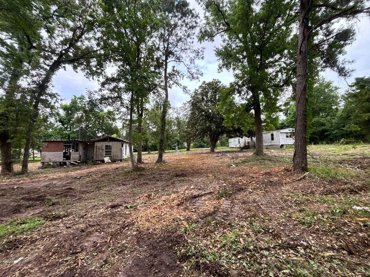 19875 Ava Lane - Photo 1
