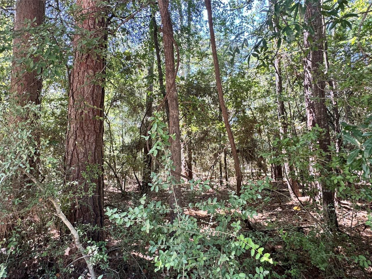https://bt-photos.global.ssl.fastly.net/harmls/1280_boomver_2_86908648-2.jpg