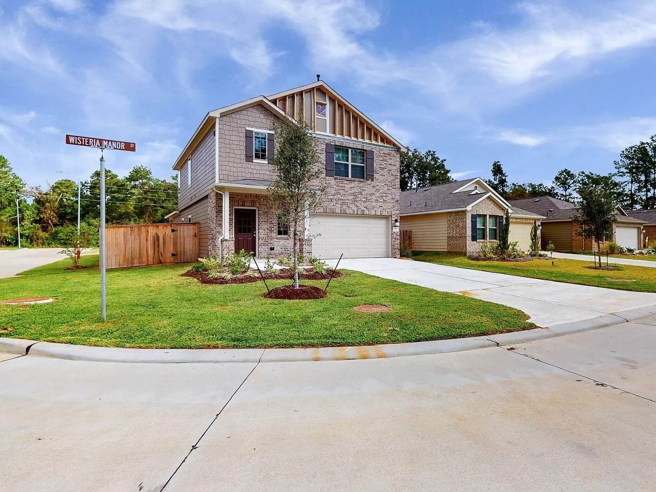 322 Wisteria Manor Street - Photo 1
