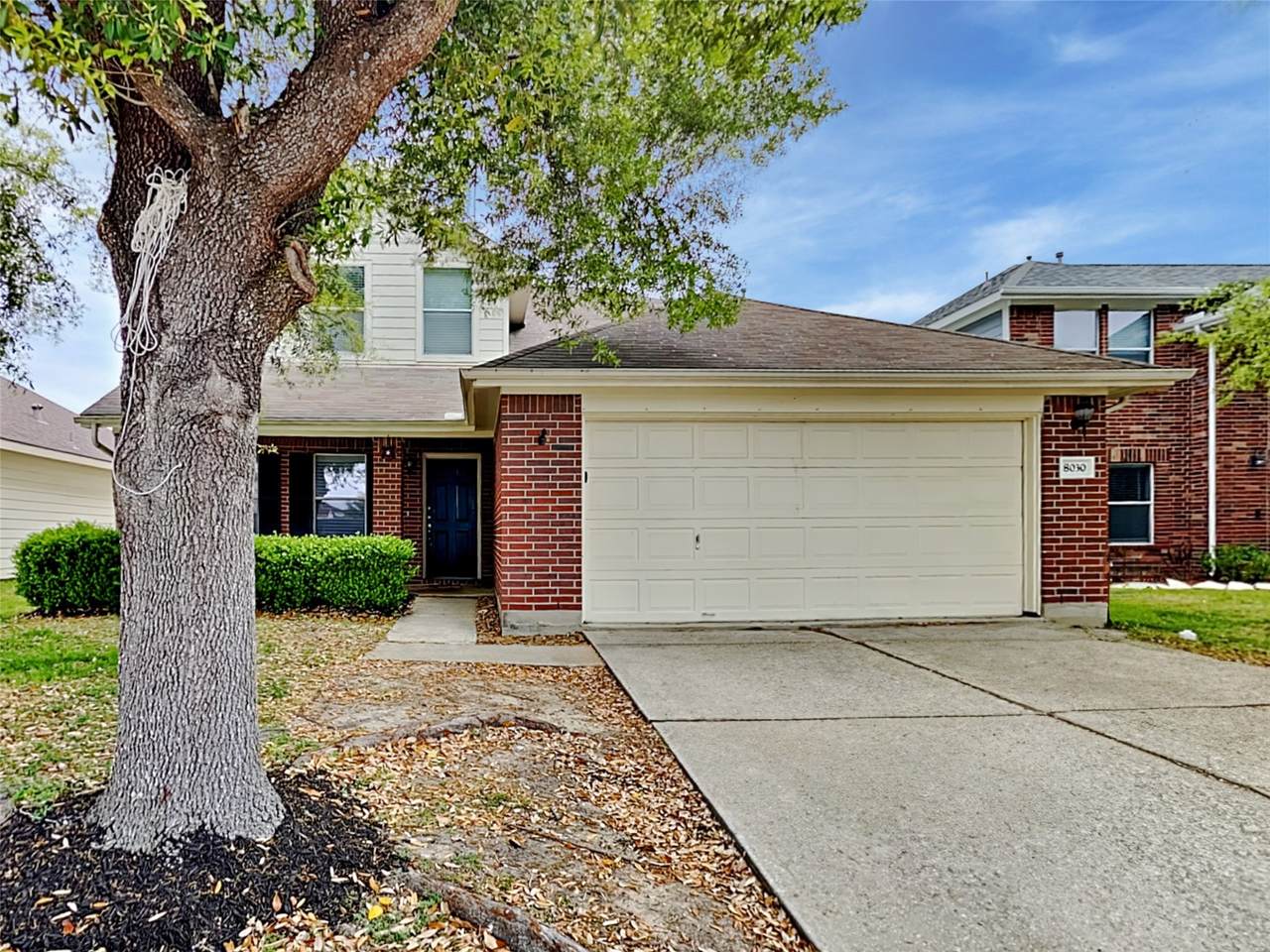 8030 Echinacea Drive - Photo 1