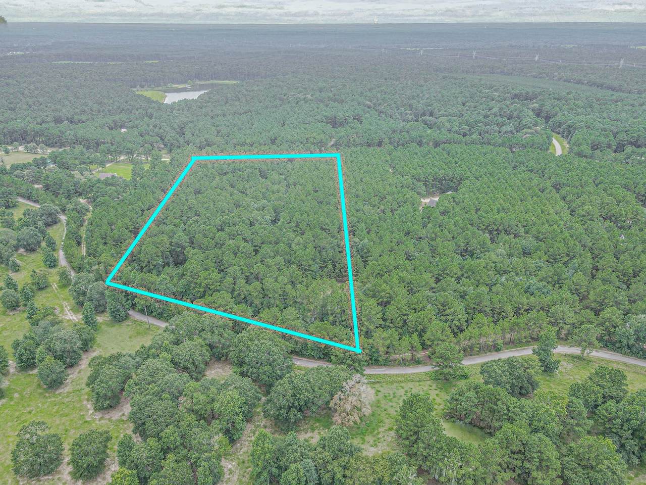 9947 Amelia Drive - Photo 1