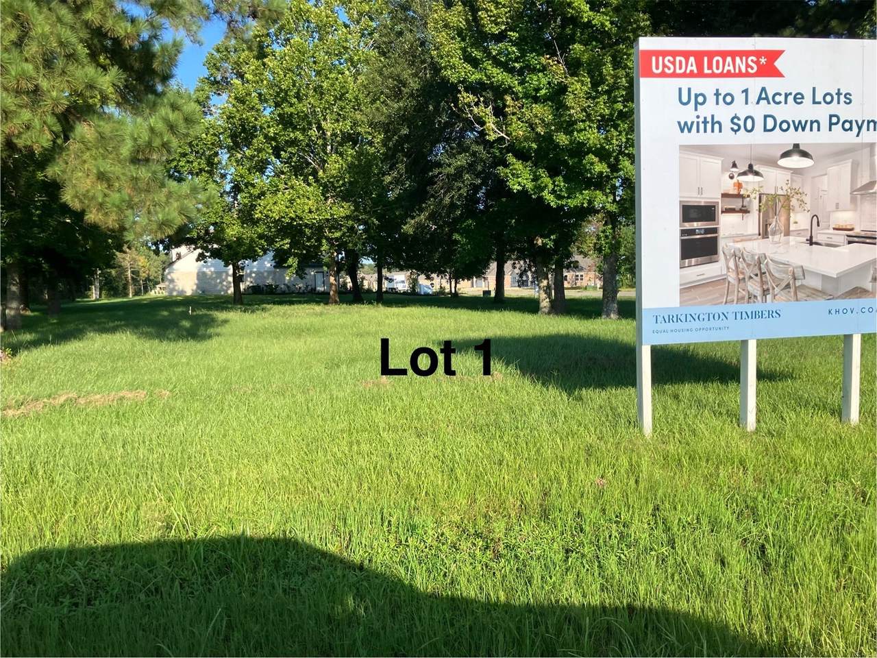 399 County Road 2268 Drive - Photo 1