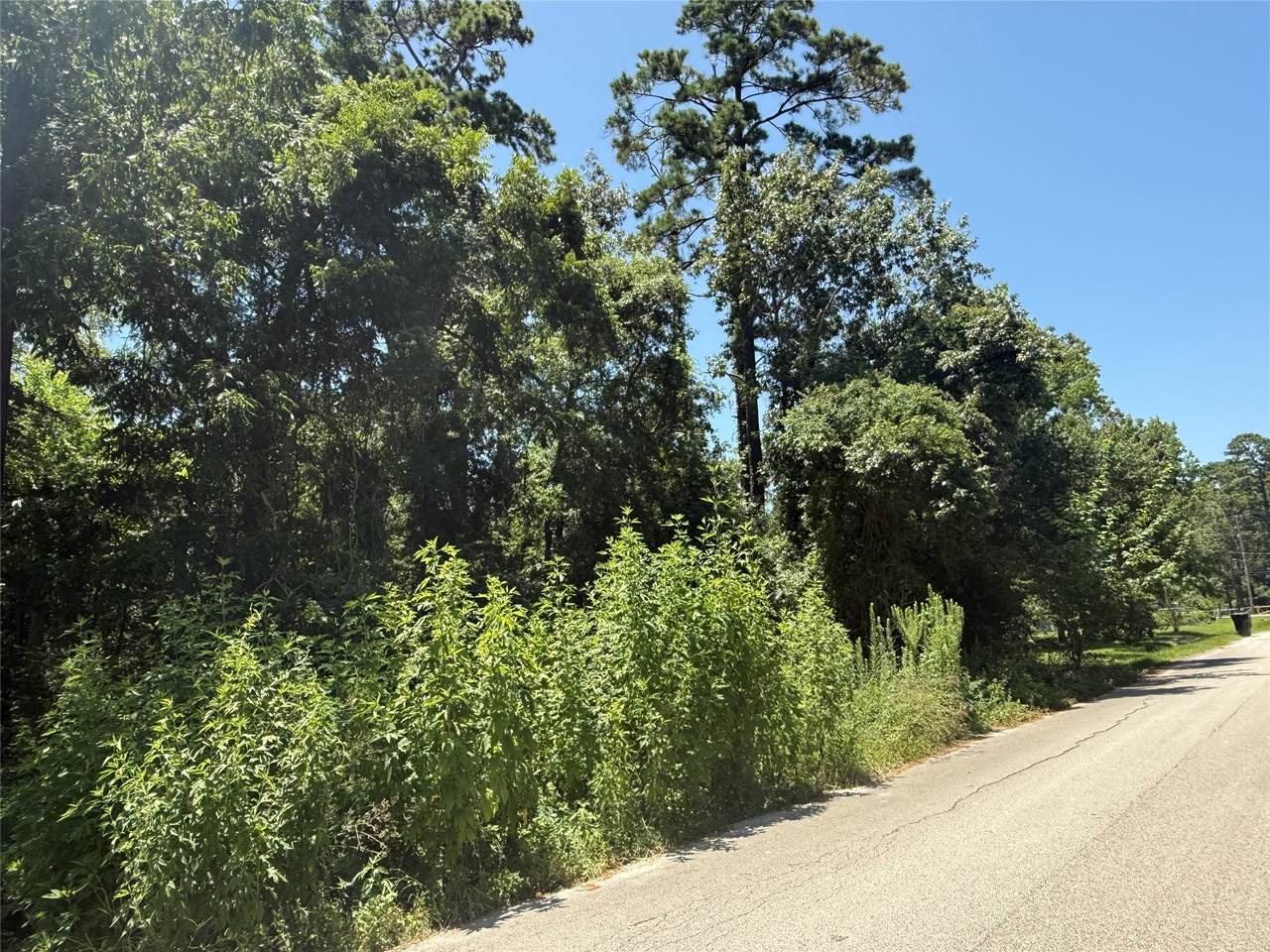 0000000 Big Deer Drive - Photo 1