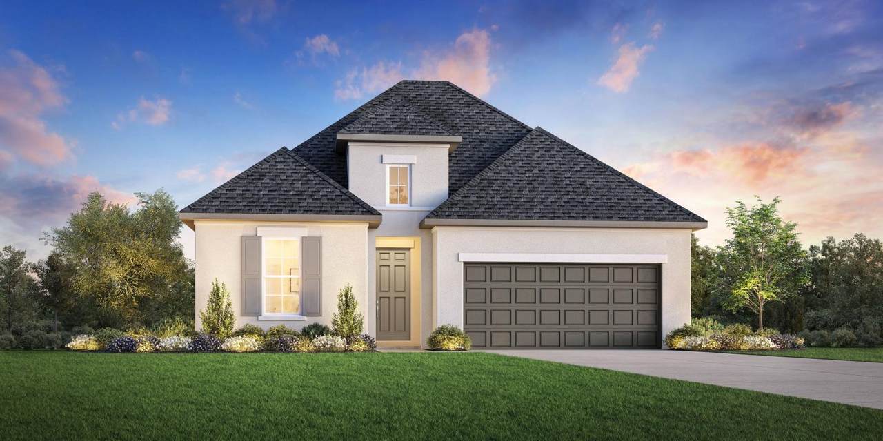25806 Leadplant Cove Lane - Photo 1