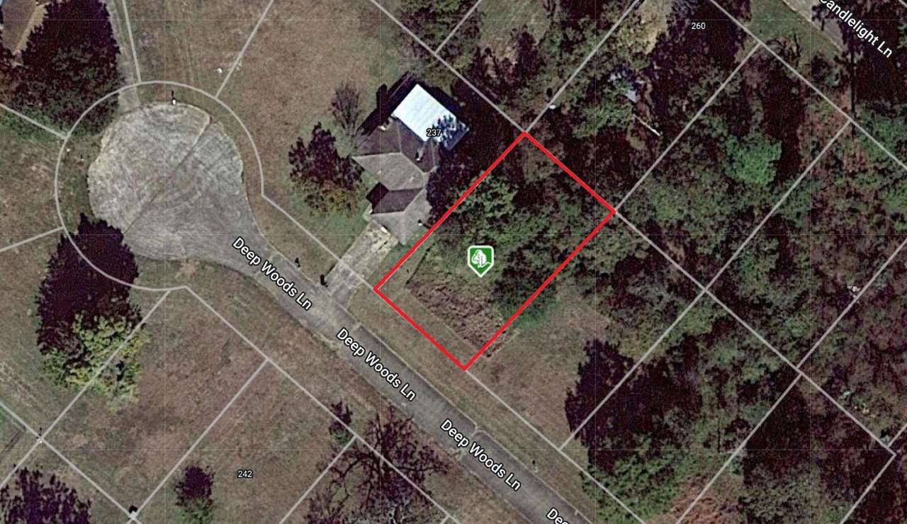 245 Deep Woods Lane - Photo 1