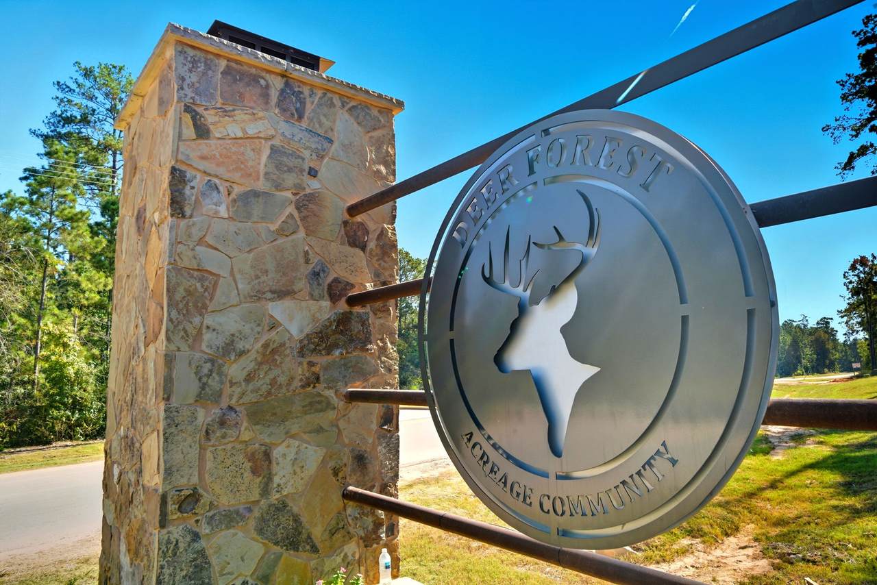 11524 Bramble Court - Photo 1