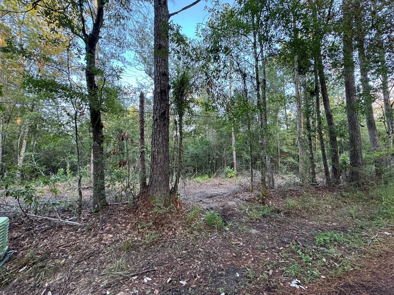 730 Cr 459 - Photo 1