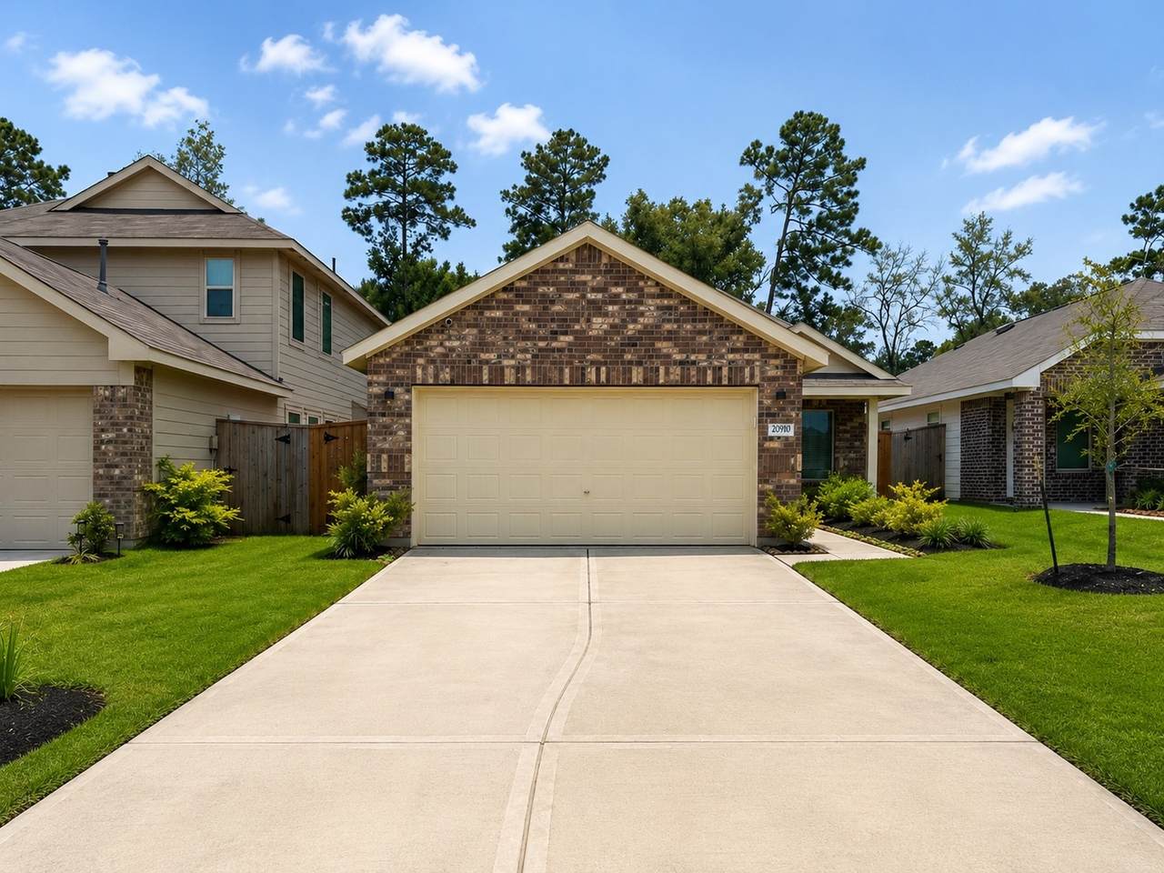 20910 Zuccala Drive - Photo 1