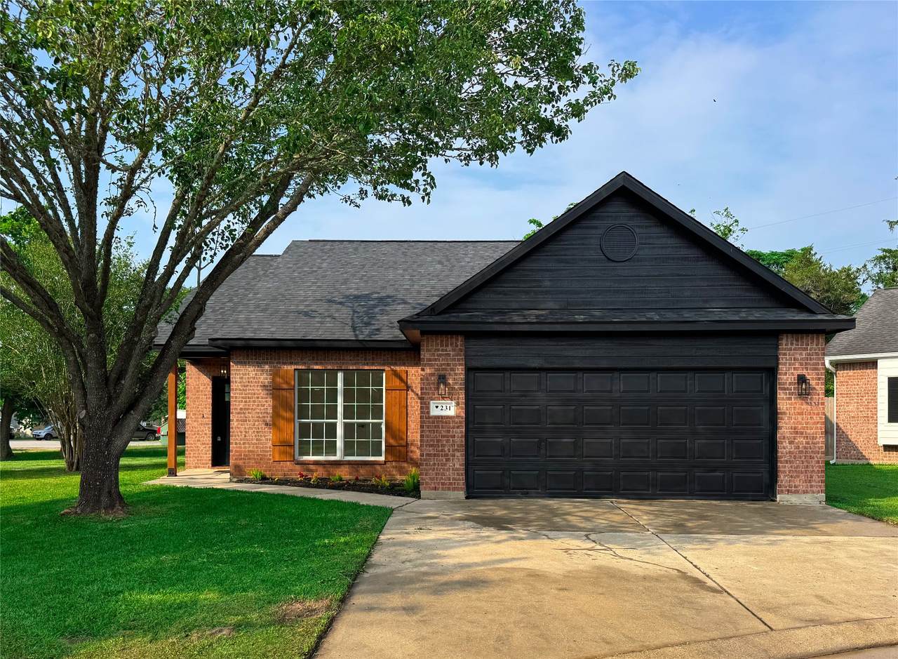 231 Elizabeth Lane - Photo 1