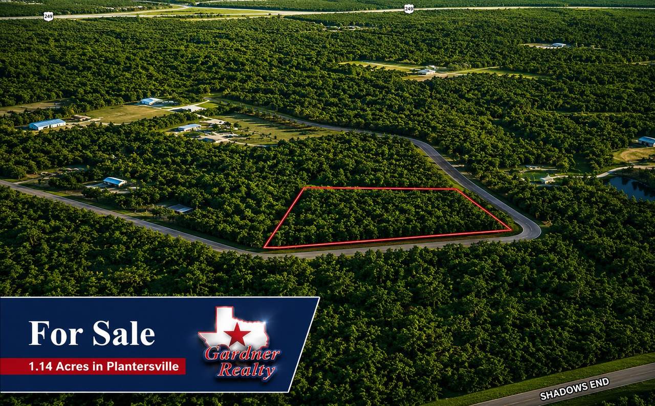 9102 Blue Lake Drive - Photo 1