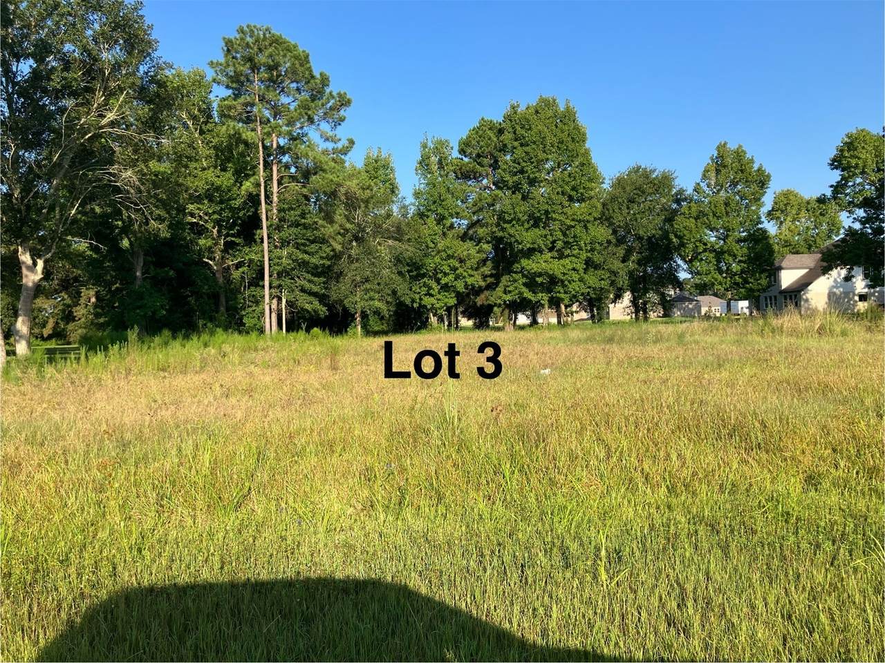 325 County Road 2268 Drive - Photo 1