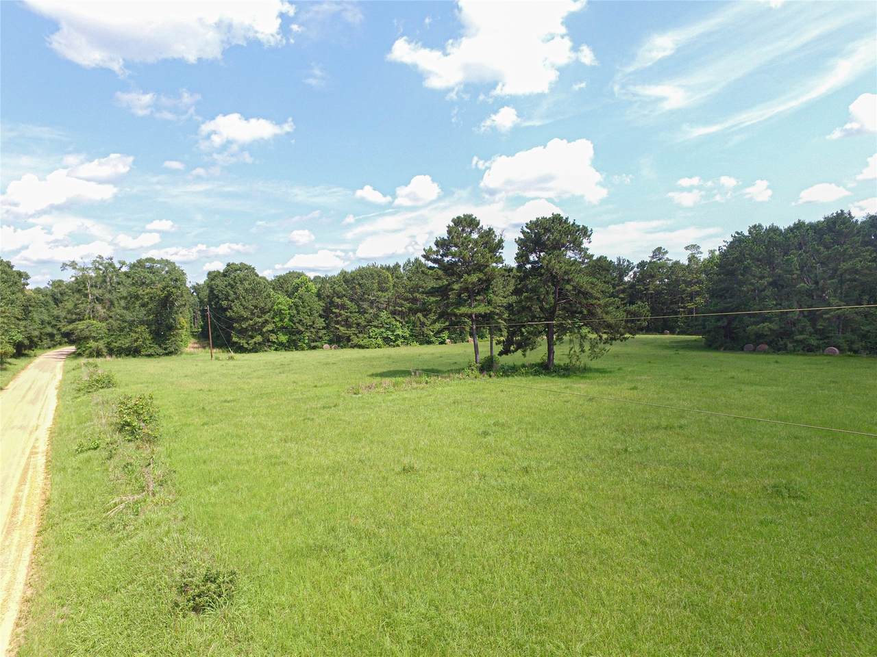 3524 Holly Grove Road - Photo 1