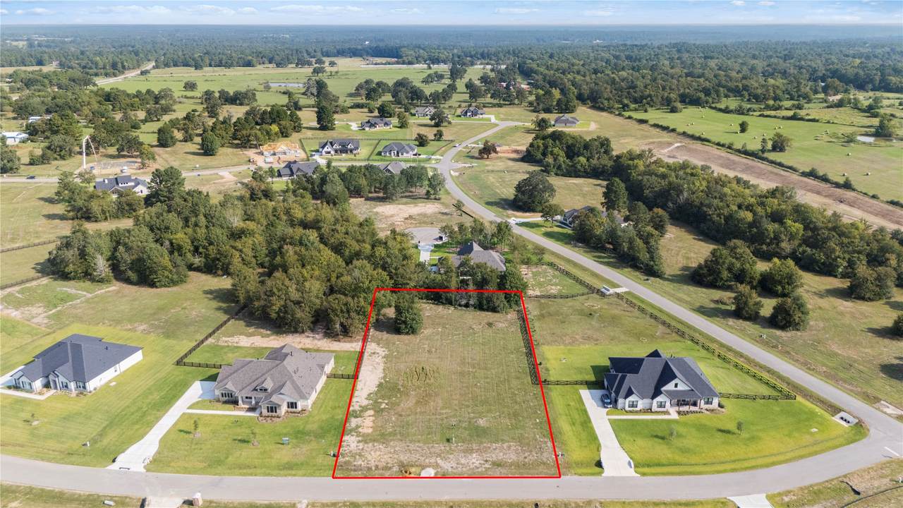 24916 Hopeview Way - Photo 1