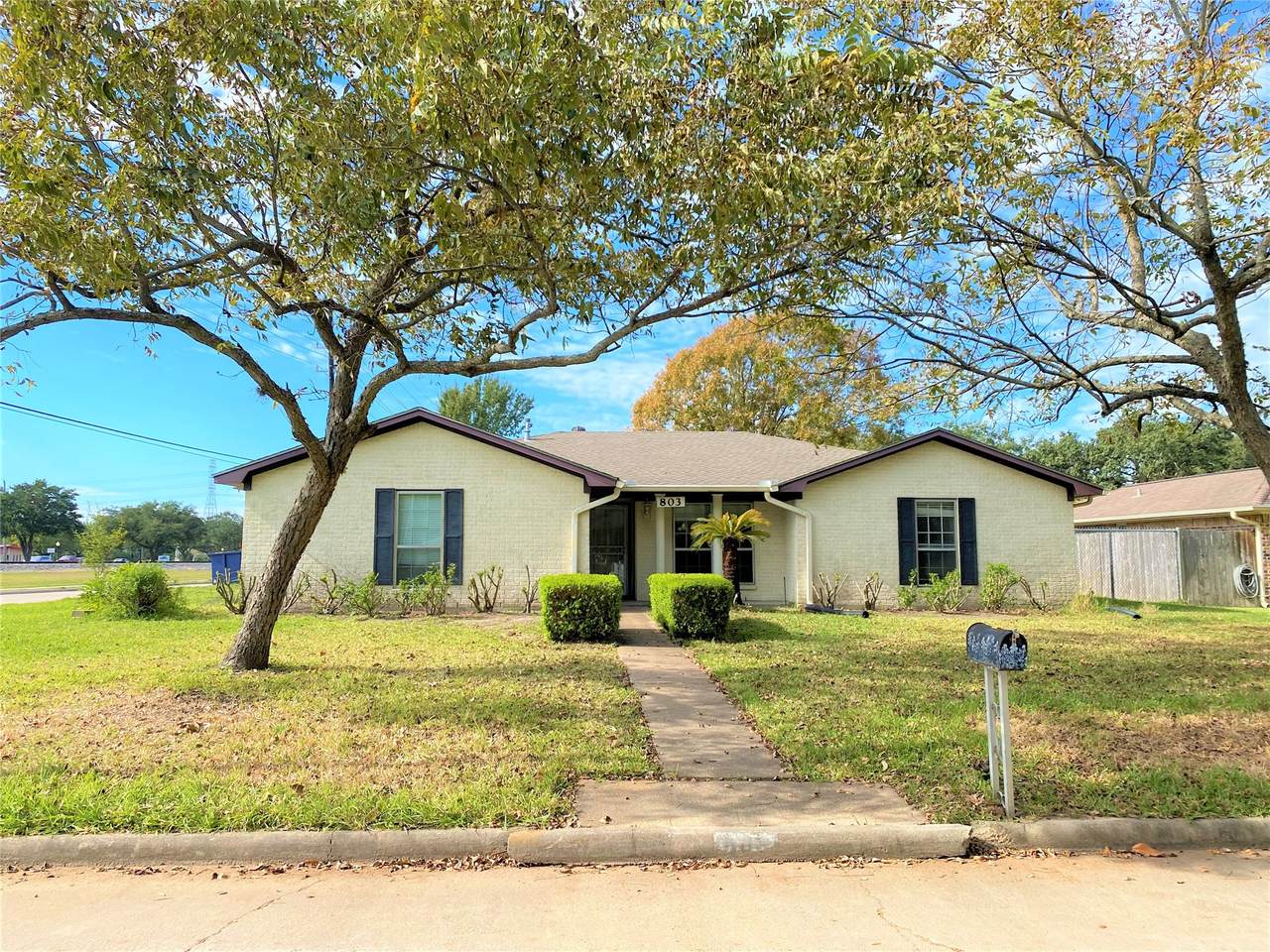 803 Dogwood Street - Photo 1