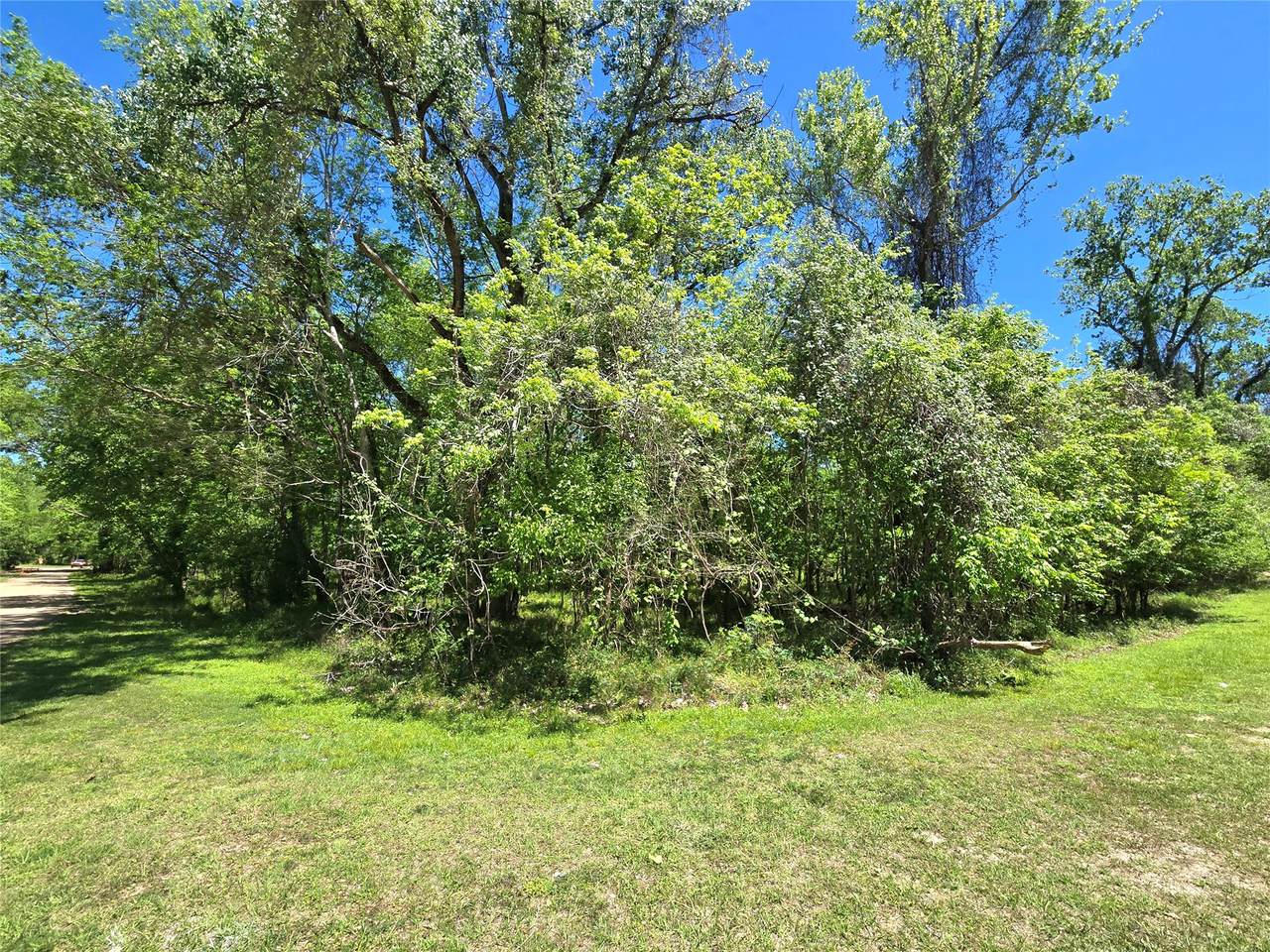TBD County Road 2167C - Photo 1