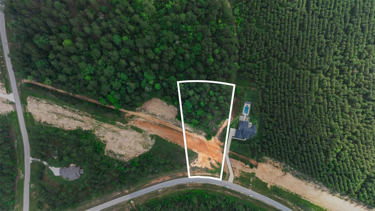 15464 Forest Grove Drive - Photo 1