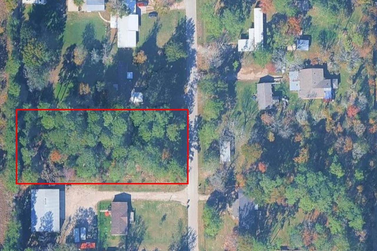0 Bear Branch - Photo 1