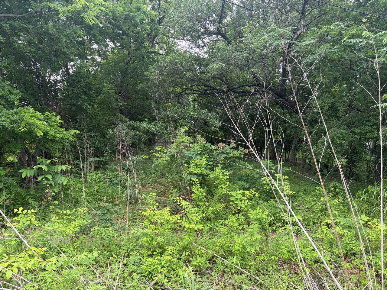 3706 Farmer Street - Photo 1