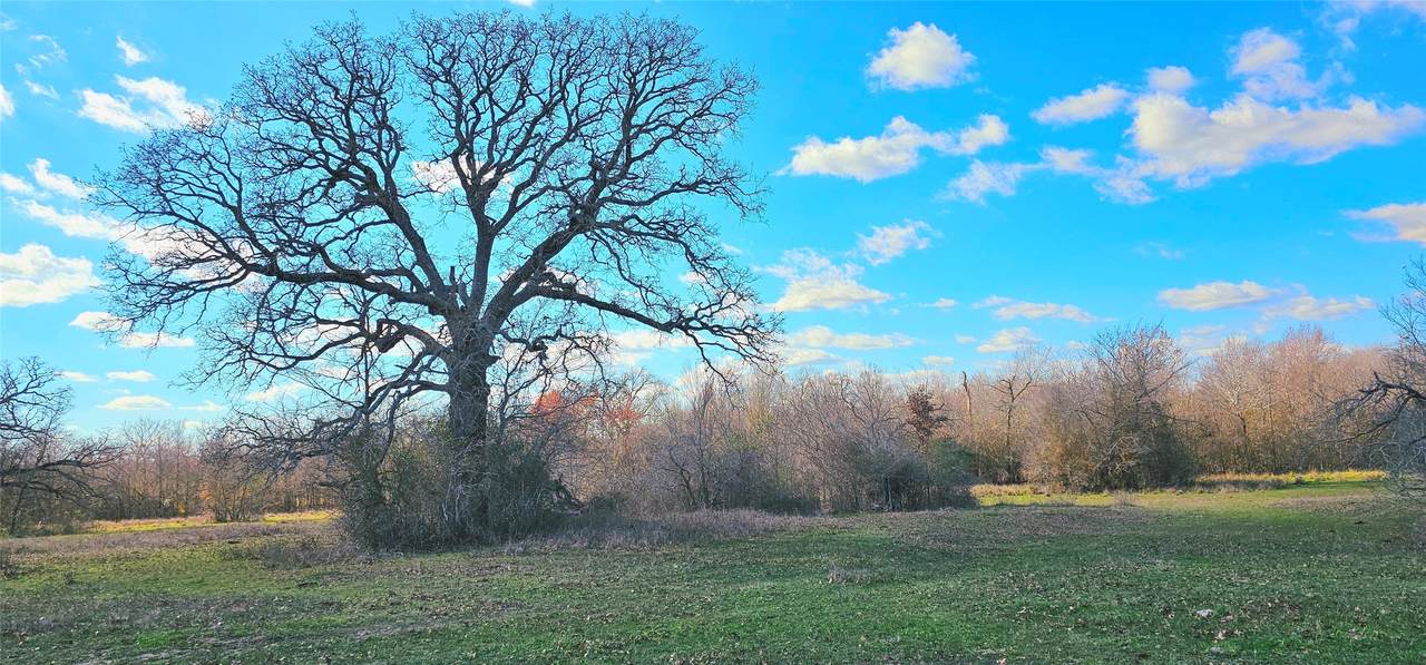 tbd Davis Road - Photo 1