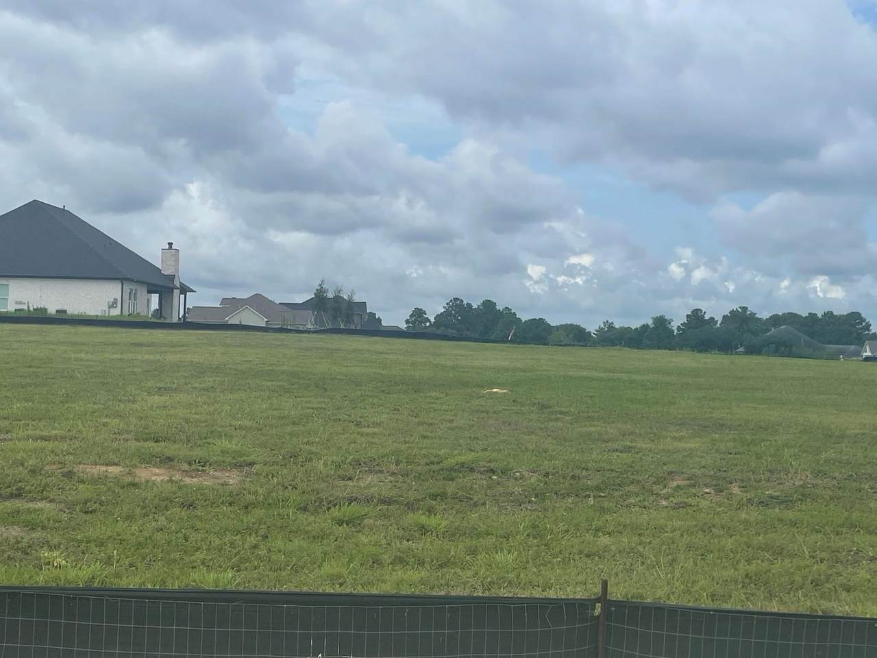 12965 French Quarter Drive - Photo 1