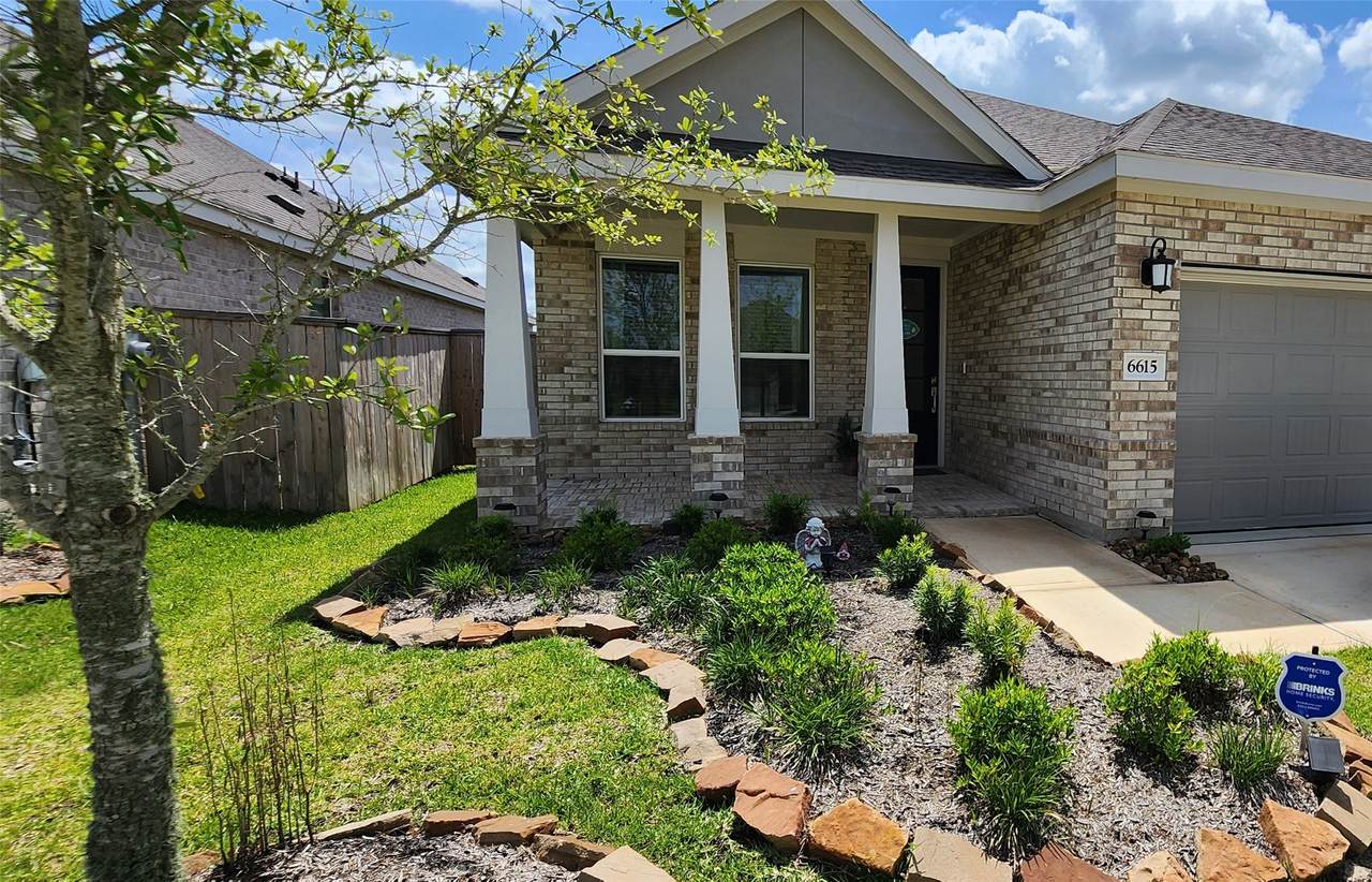6615 Tricolor Beech Lane - Photo 1