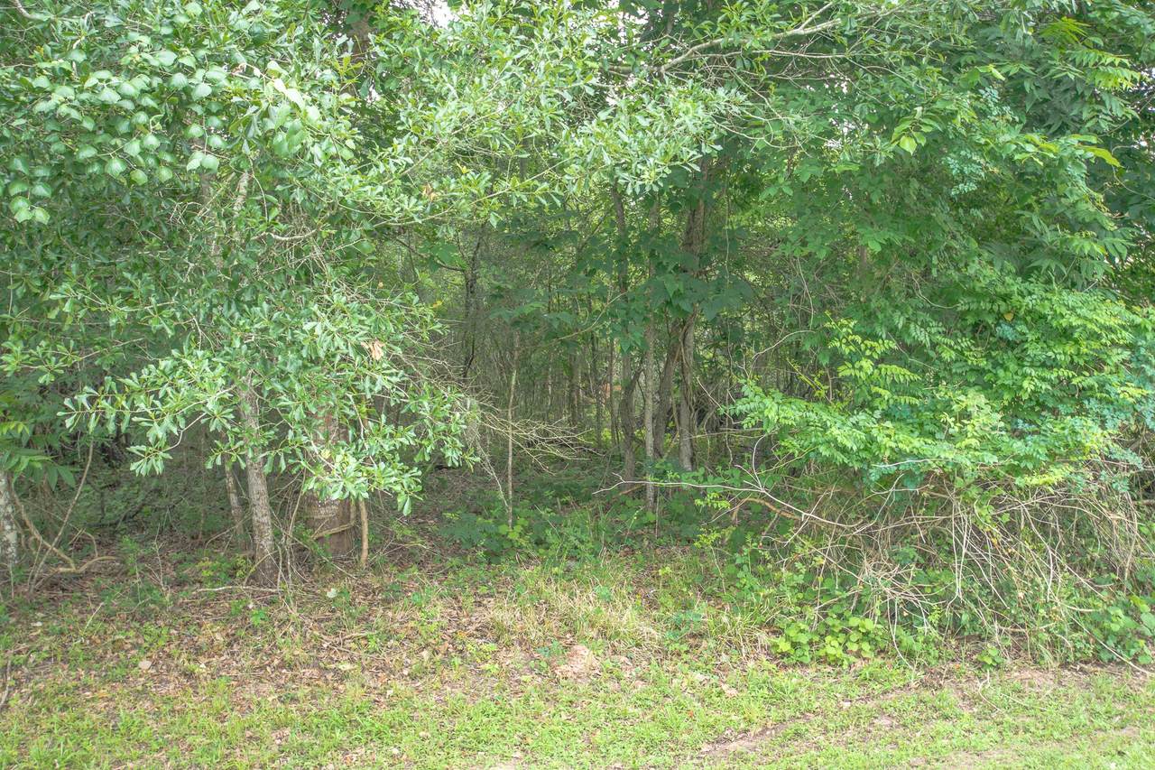 https://bt-photos.global.ssl.fastly.net/harmls/1280_boomver_1_930633-2.jpg