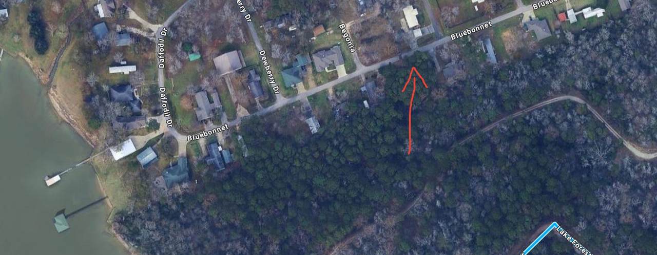 Lots 19 and 20 Bluebonnet - Photo 1