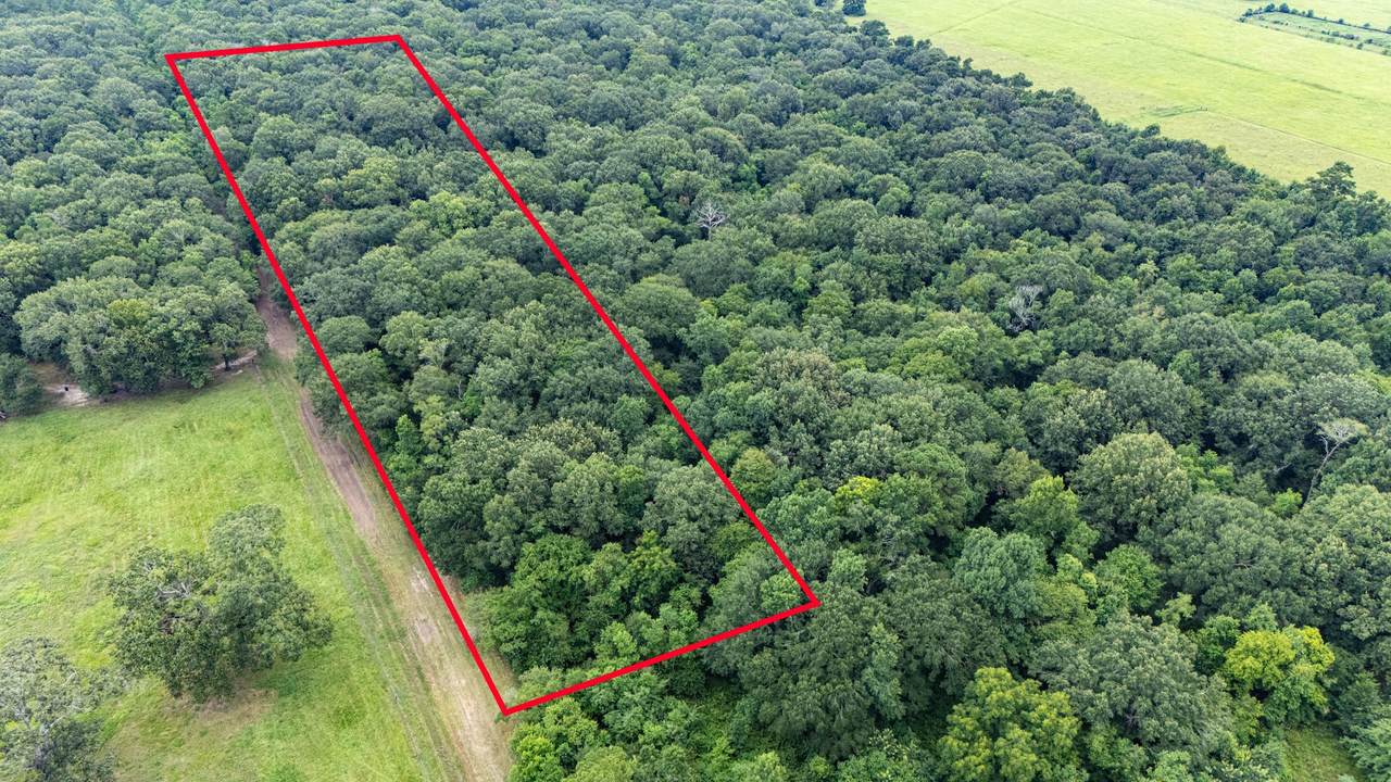 TBD Hwy 321, East Side - Photo 1