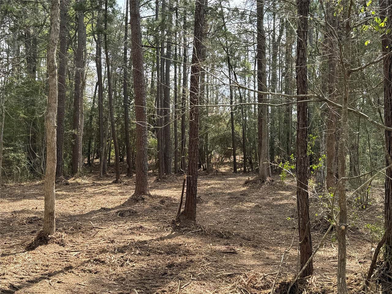 087 Private Road 6026 - Photo 1