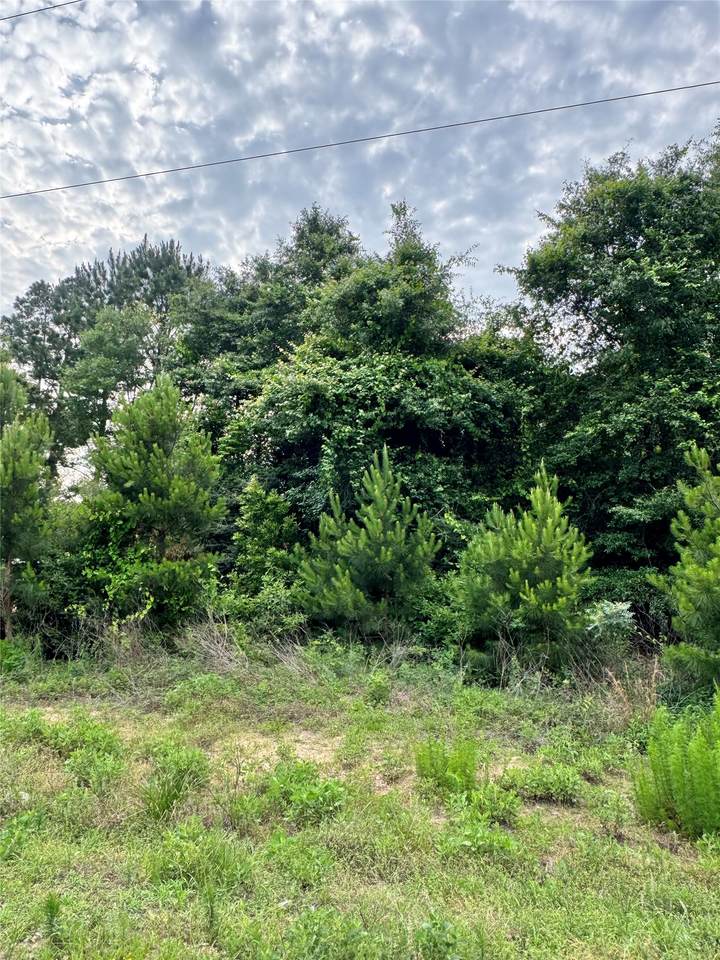 476 County Road 3773 - Photo 1