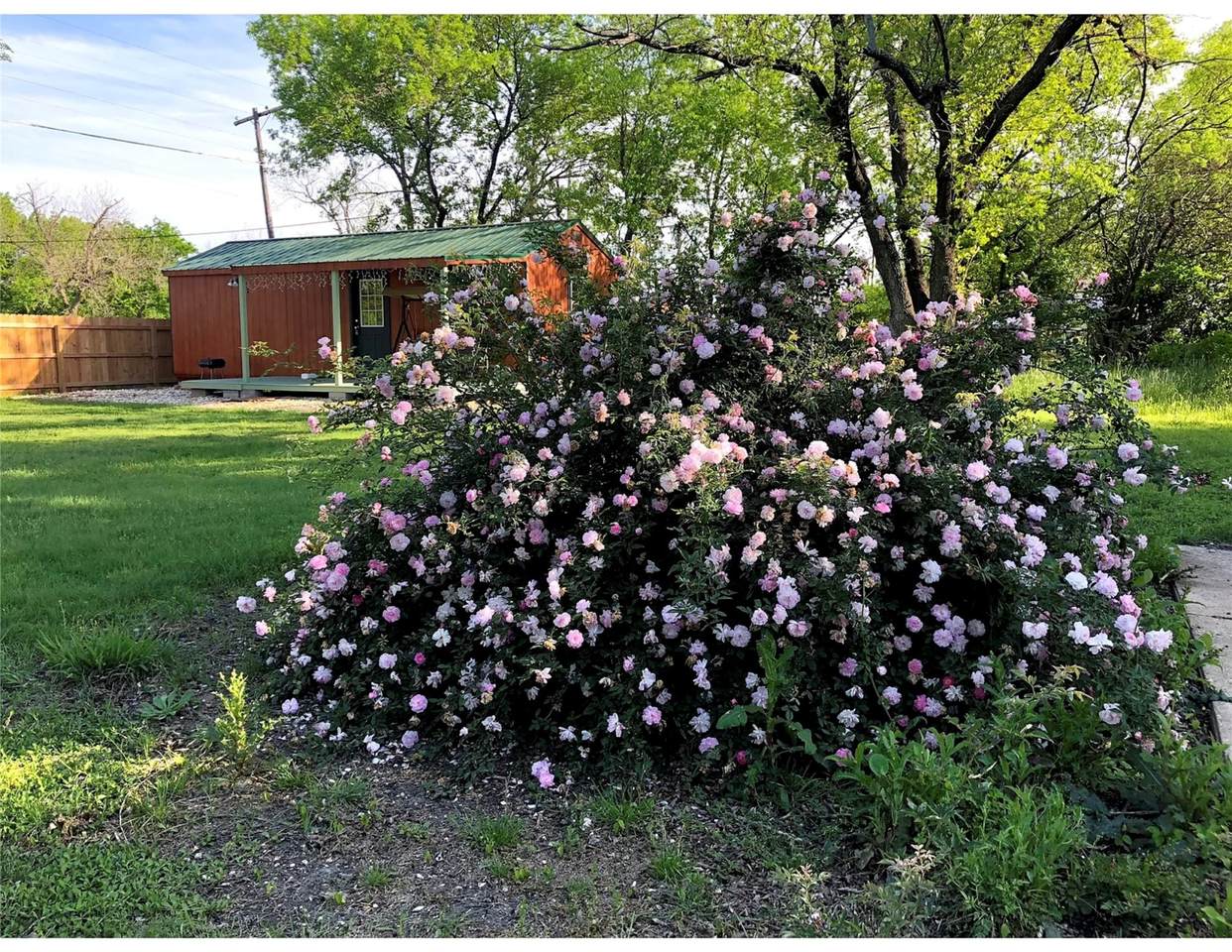 241 Jackson Street - Photo 1