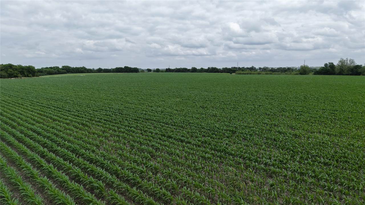 53 County Road 453 - Photo 1