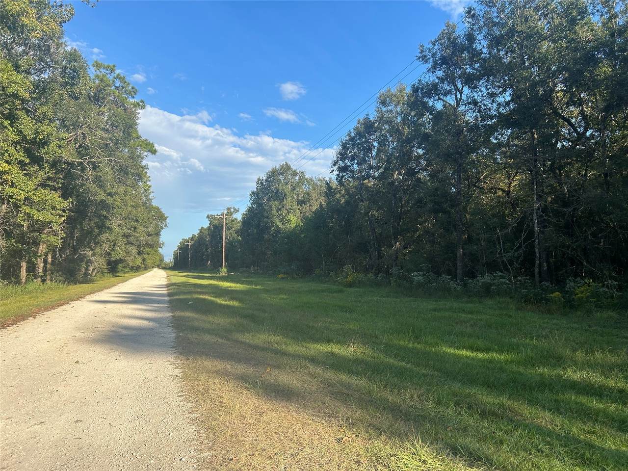 Tract 45, 46 Tx-61 Pr 117 - Photo 1