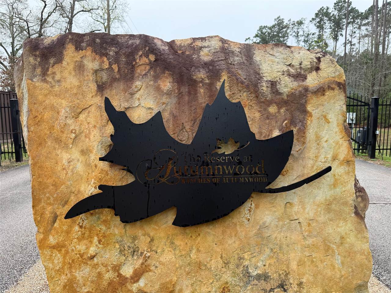 10213 Autumn Leaf Circle - Photo 1