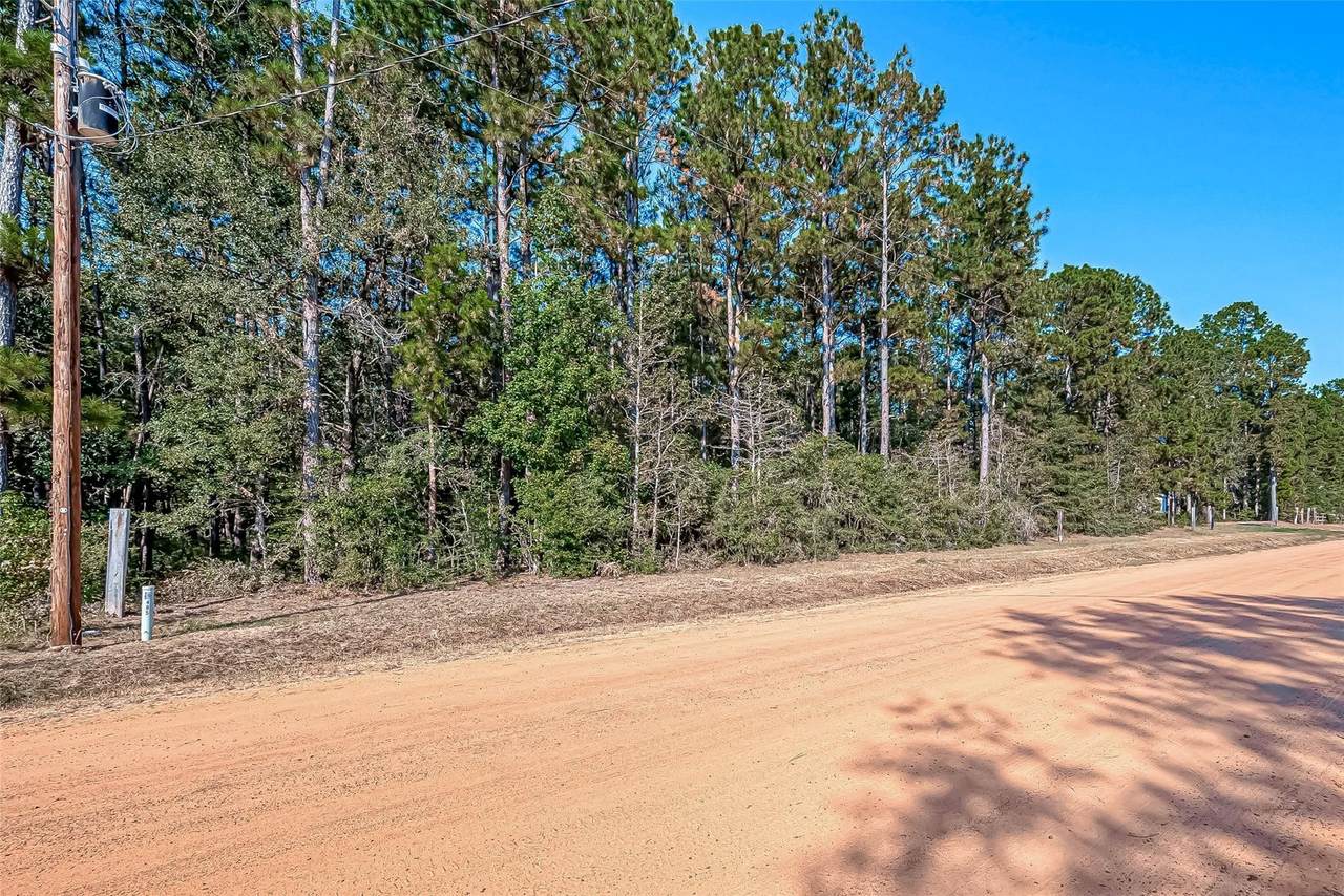 0 Oak Ridge Street - Photo 1