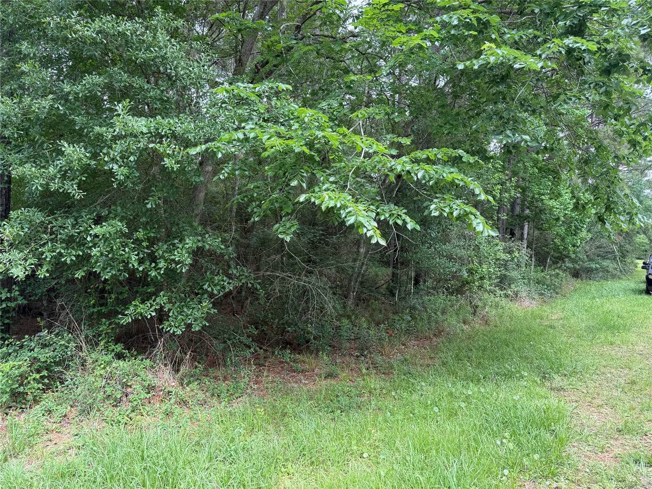 https://bt-photos.global.ssl.fastly.net/harmls/1280_boomver_1_97189346-2.jpg