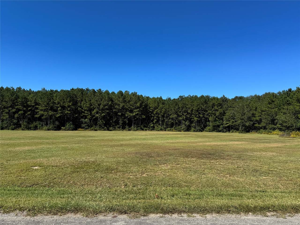 1995 Pan Am Road - Photo 1