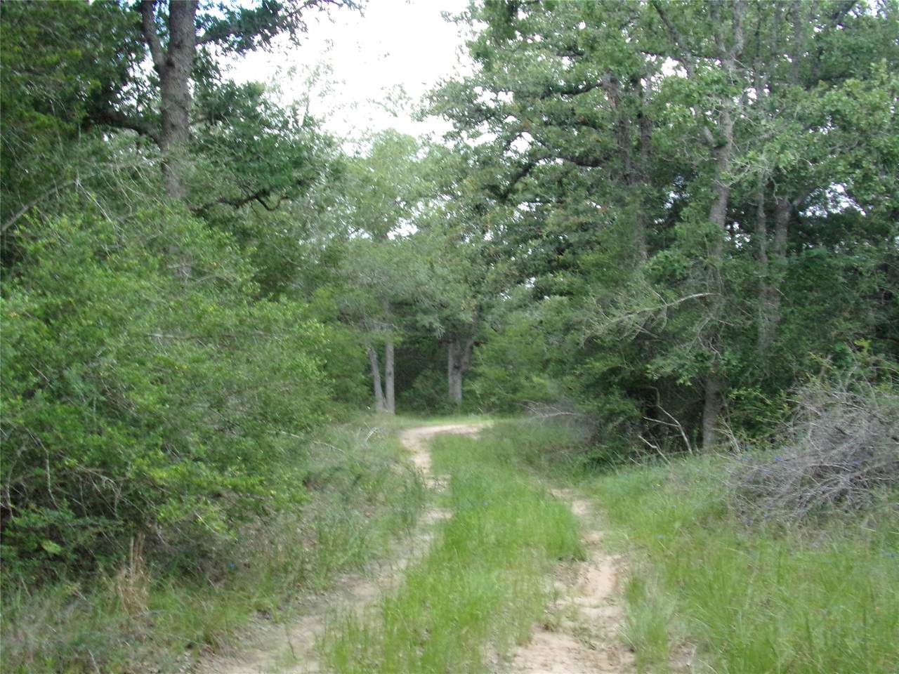 1588 Deer Hollow Road - Photo 1