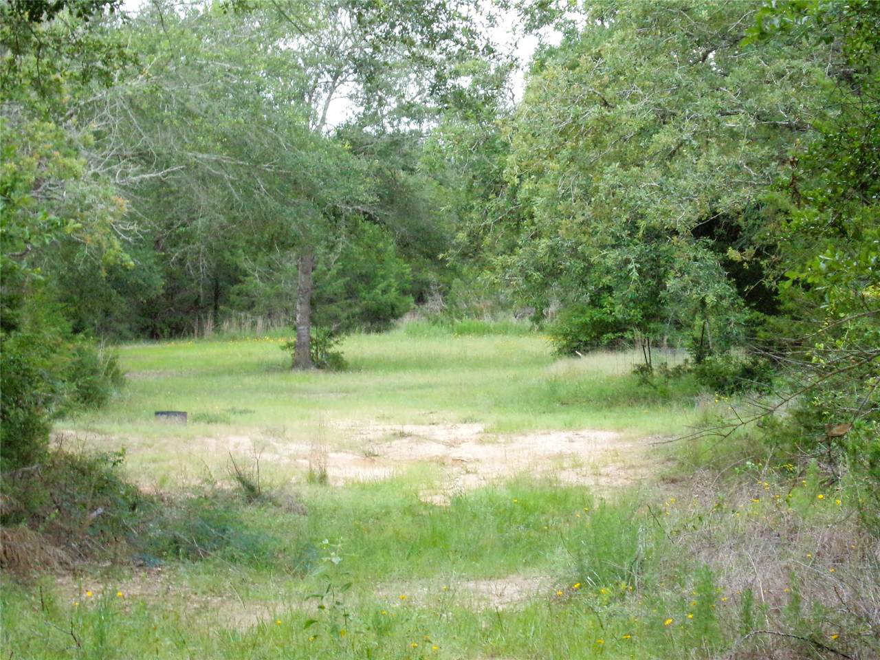 https://bt-photos.global.ssl.fastly.net/harmls/1280_boomver_1_97597742-2.jpg