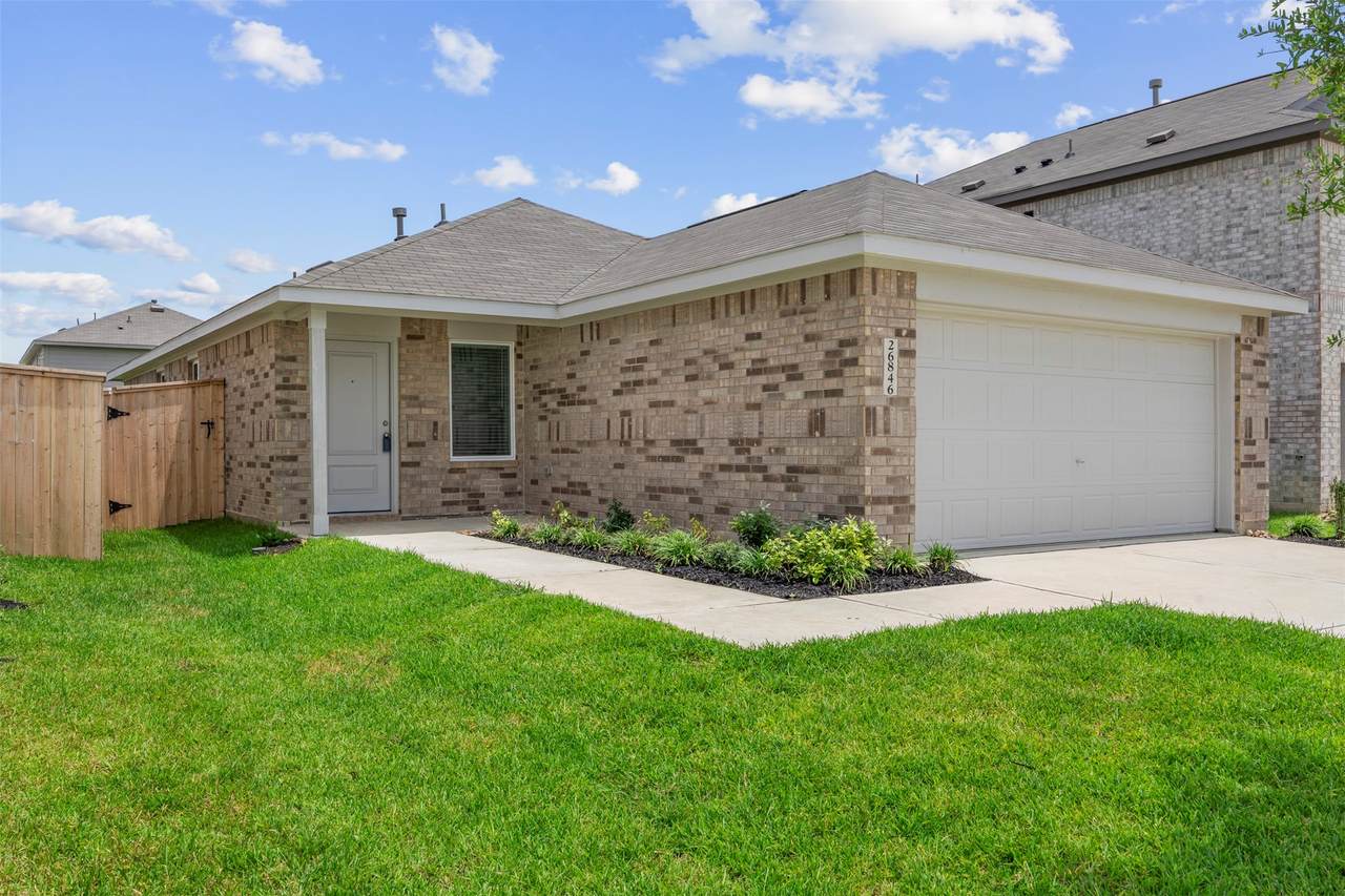 26846 Vanilla Pearls Lane - Photo 1