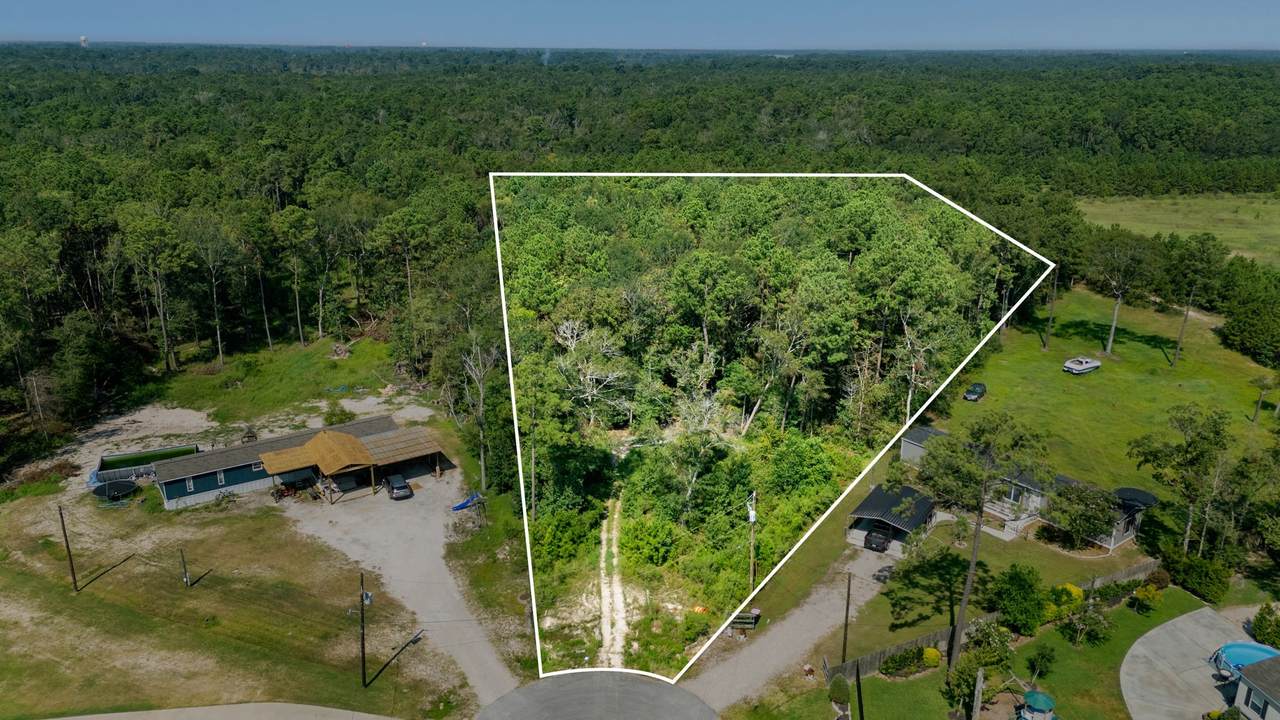 23501 Cranefly Lane - Photo 1