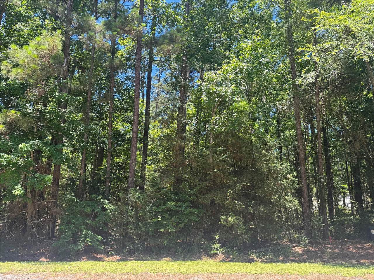 69 Sunny Hill Drive - Photo 1