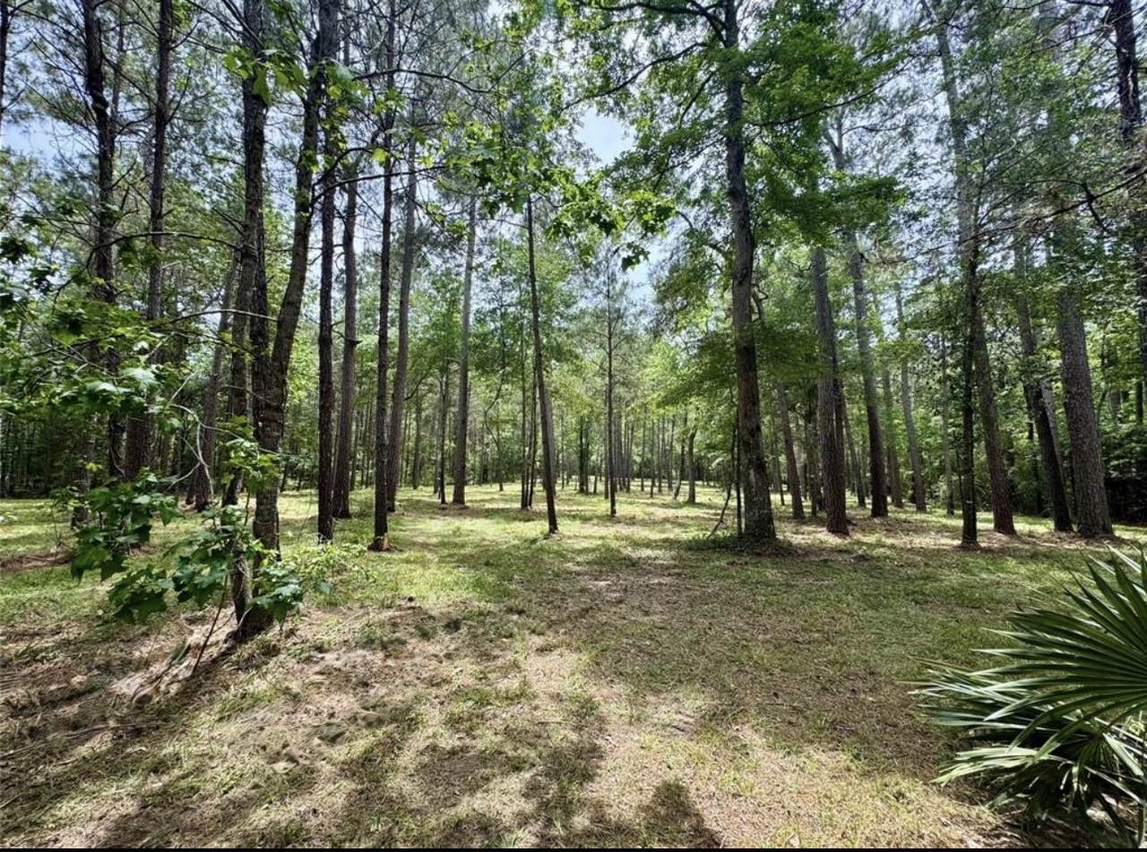 13a-1-1 Texas Grand Road - Photo 1