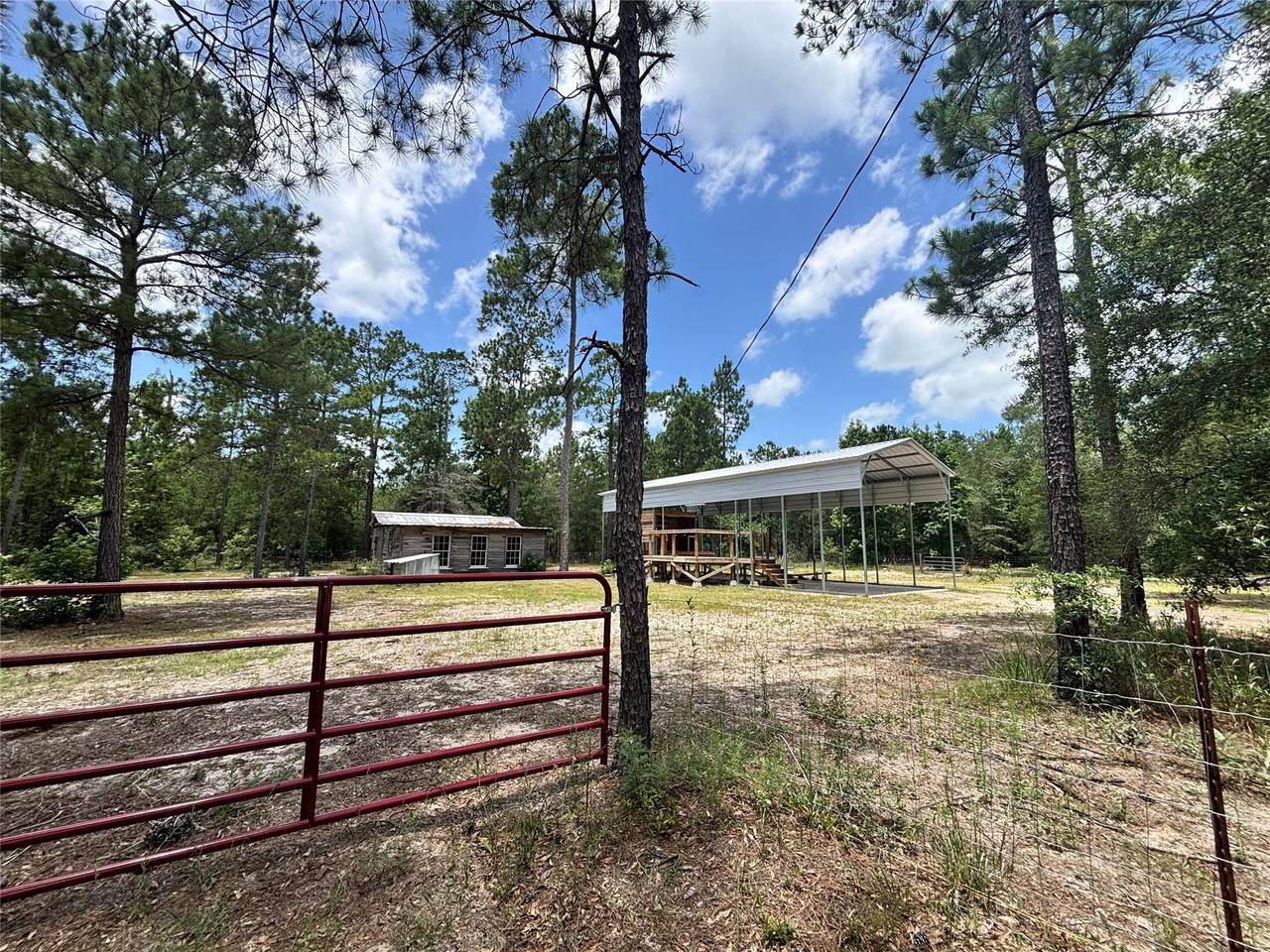 1603 Dammom Lane - Photo 1