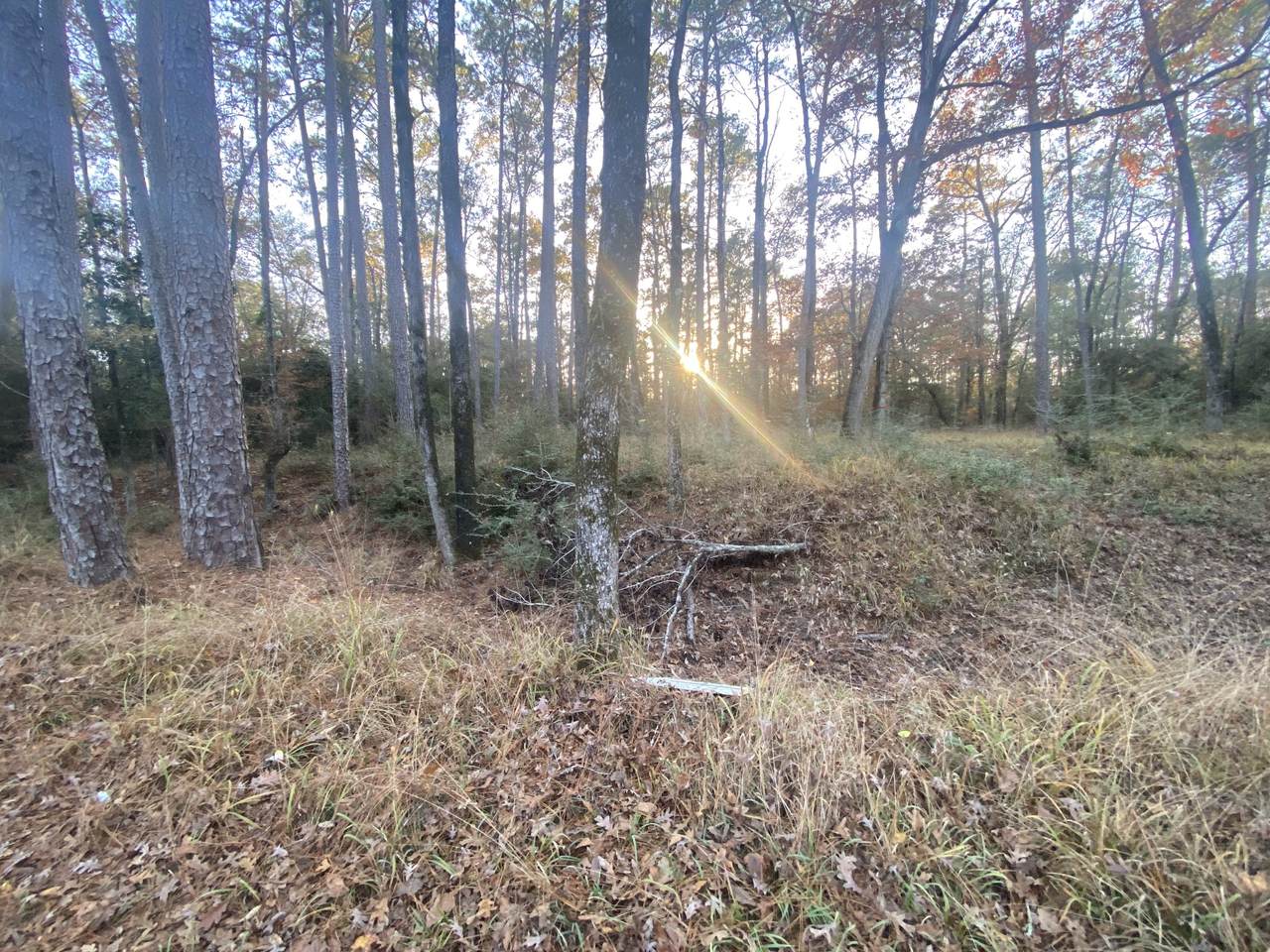 https://bt-photos.global.ssl.fastly.net/harmls/1280_boomver_2_10253507-2.jpg