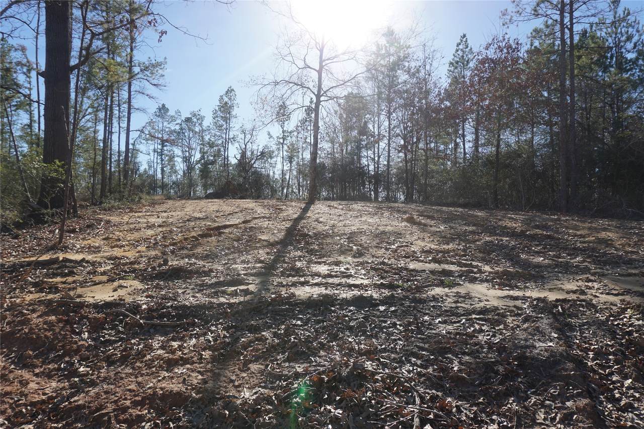 9301 Private Road 2851 Tract 2 - Photo 1