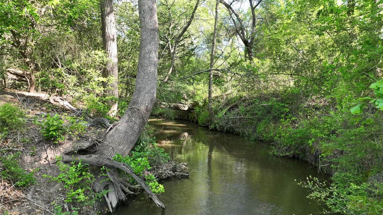 0 County Road 127 - Photo 1