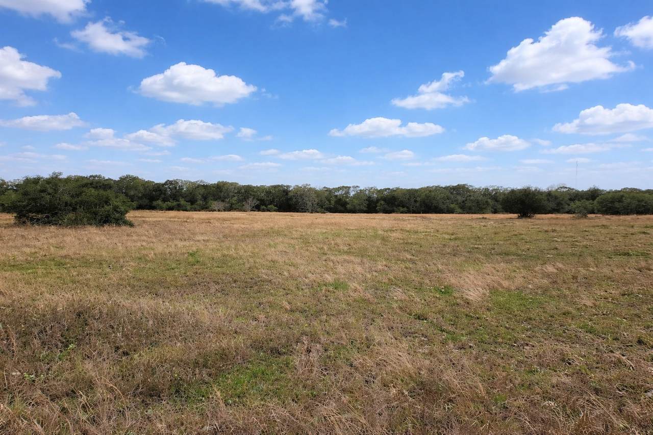 000 Fm 445 - Photo 1