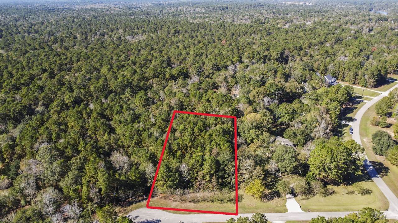 102 Forest Wind Court - Photo 1