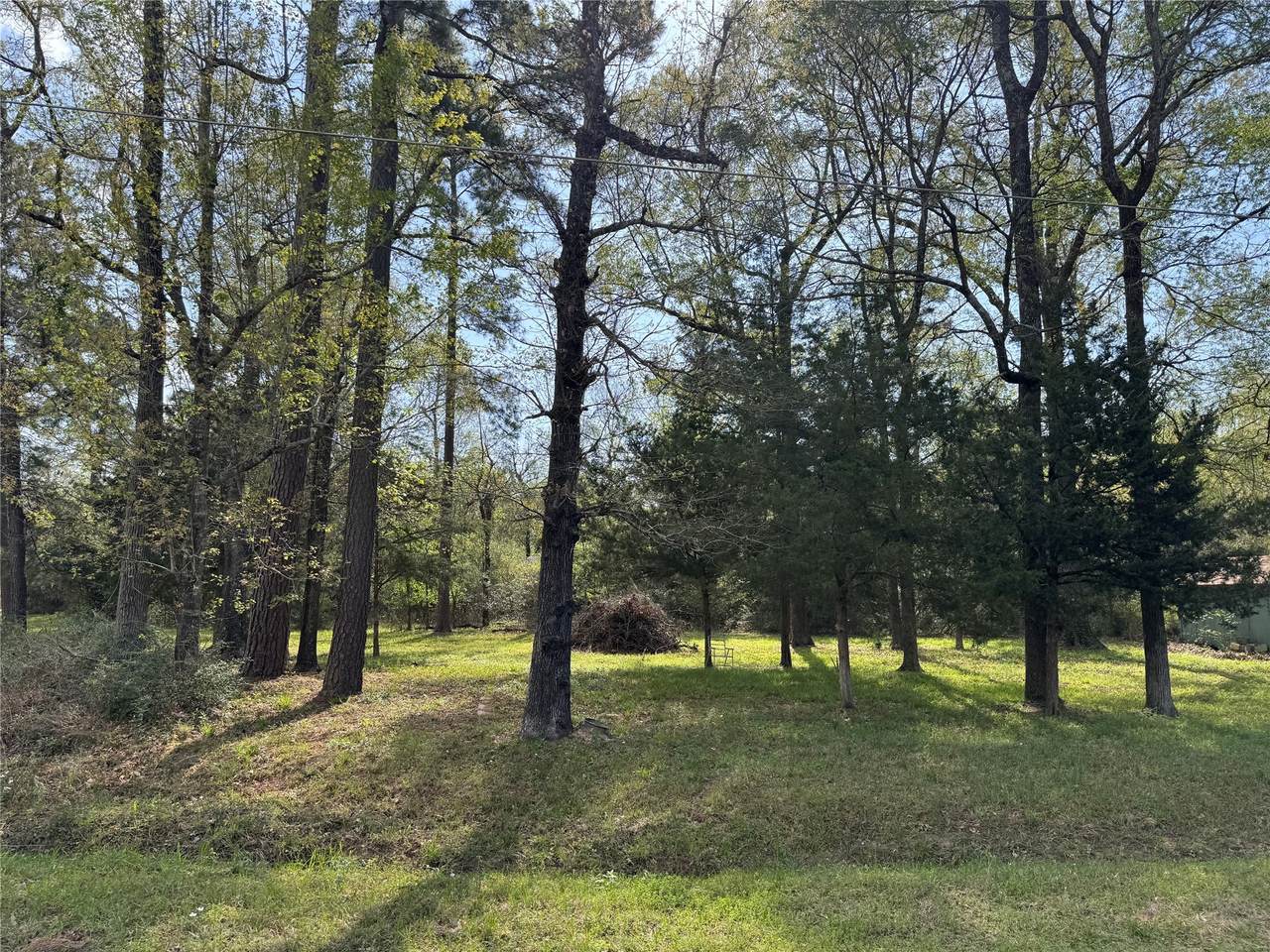 TBD Lake Livingston Boulevard - Photo 1